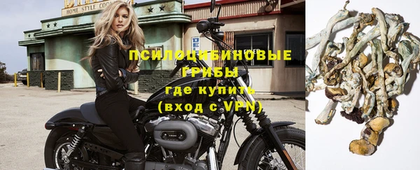 MESCALINE Аркадак