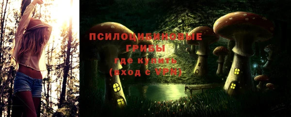 ECSTASY Армянск