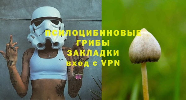 MESCALINE Аркадак