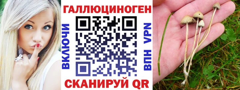 Псилоцибиновые грибы Cubensis  hydra вход  Рыбинск 
