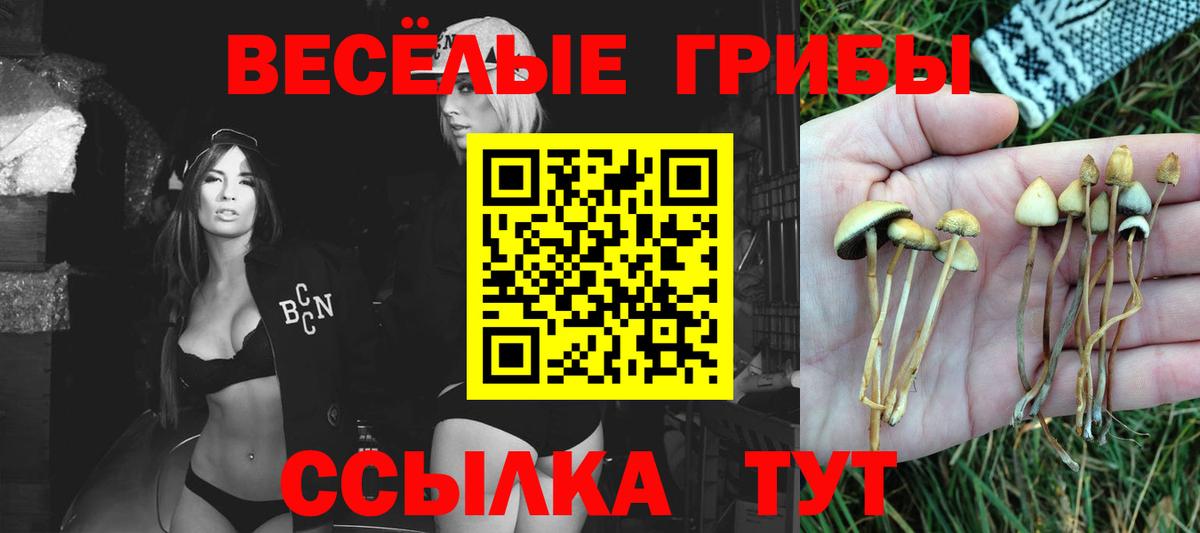 Галлюциногенные грибы мицелий Рыбинск